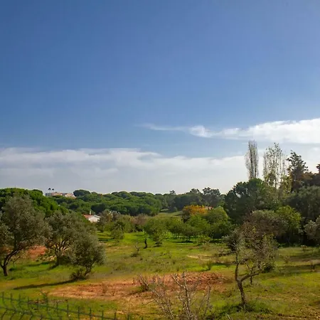 Yvonne,private Pool,private Parking 1,7 Km From The Beatch 别墅 阿尔布费拉