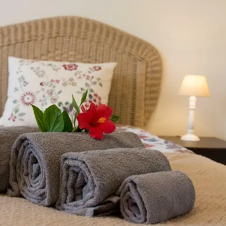 别墅 Yvonne,private Pool,private Parking 1,7 Km From The Beatch