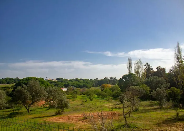 Yvonne,private Pool,private Parking 1,7 Km From The Villa Albufeira