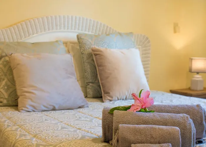 Yvonne,private Pool,private Parking 1,7 Km From The Villa *